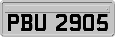 PBU2905