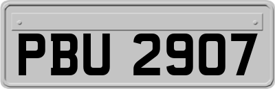 PBU2907