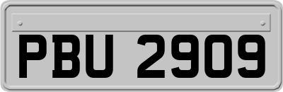 PBU2909