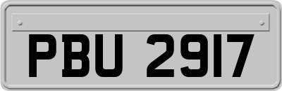 PBU2917