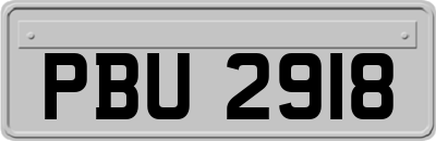 PBU2918