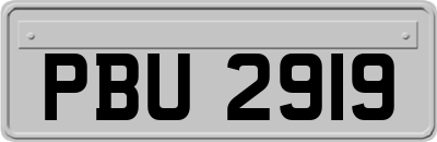 PBU2919