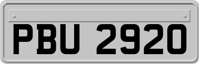 PBU2920