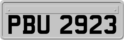 PBU2923