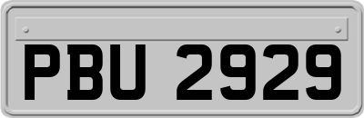 PBU2929