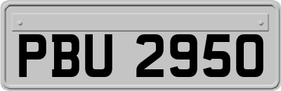 PBU2950