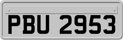 PBU2953