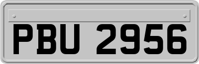 PBU2956