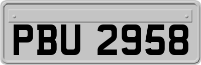 PBU2958