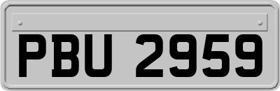 PBU2959