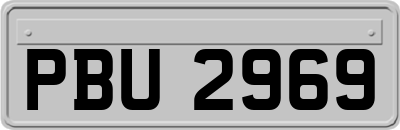 PBU2969