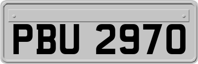 PBU2970