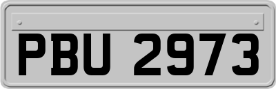 PBU2973