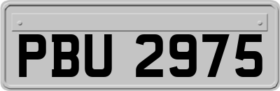 PBU2975