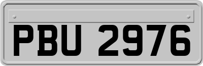 PBU2976