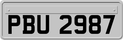 PBU2987