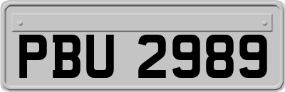 PBU2989