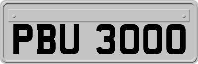 PBU3000