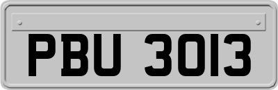 PBU3013