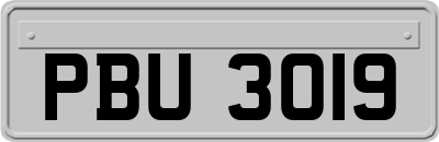 PBU3019