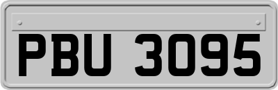 PBU3095