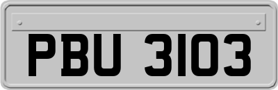 PBU3103