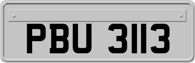 PBU3113