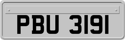 PBU3191