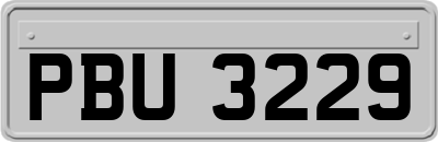 PBU3229