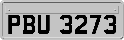 PBU3273