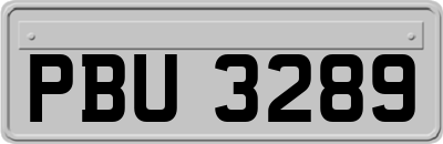 PBU3289