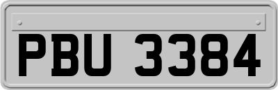 PBU3384