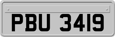 PBU3419