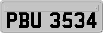 PBU3534