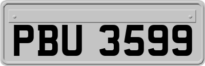 PBU3599