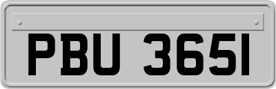 PBU3651