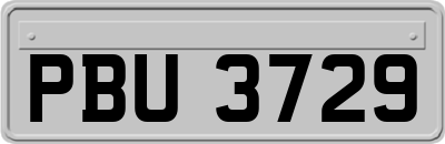 PBU3729