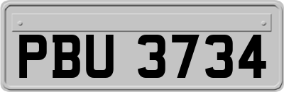 PBU3734