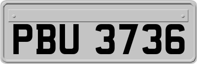 PBU3736