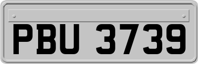 PBU3739