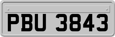 PBU3843