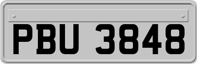 PBU3848