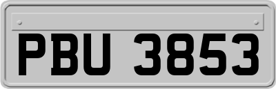 PBU3853