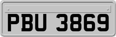 PBU3869