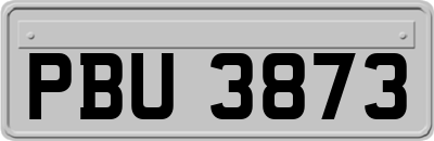 PBU3873