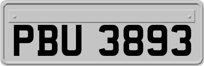 PBU3893