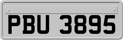 PBU3895