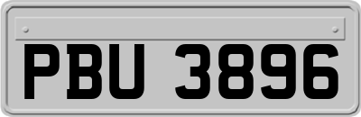 PBU3896