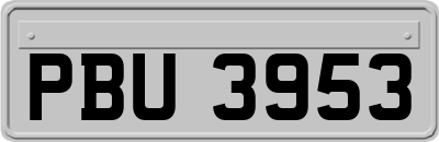 PBU3953