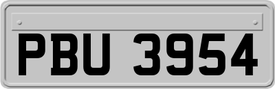 PBU3954